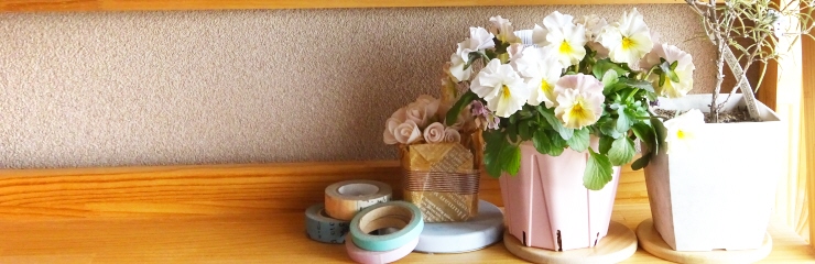 室内の鉢植え 室内の鉢植え